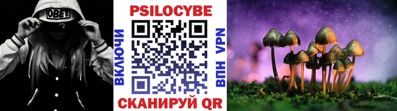 Купить где  Волхов  Галлюциногенные грибы мухоморы 