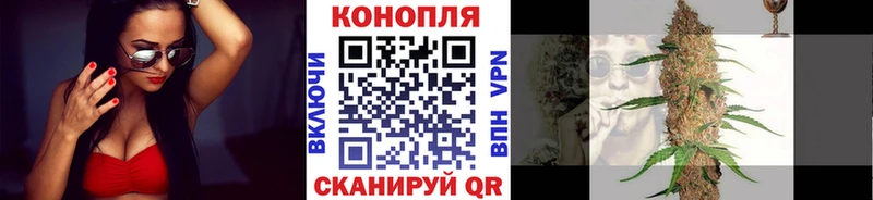Купить где  Волхов  Конопля сатива 